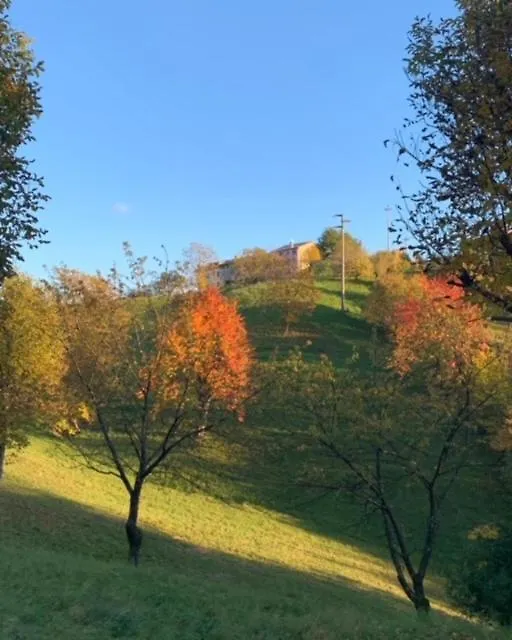 La Corte Di Cesio Monfumo B&B